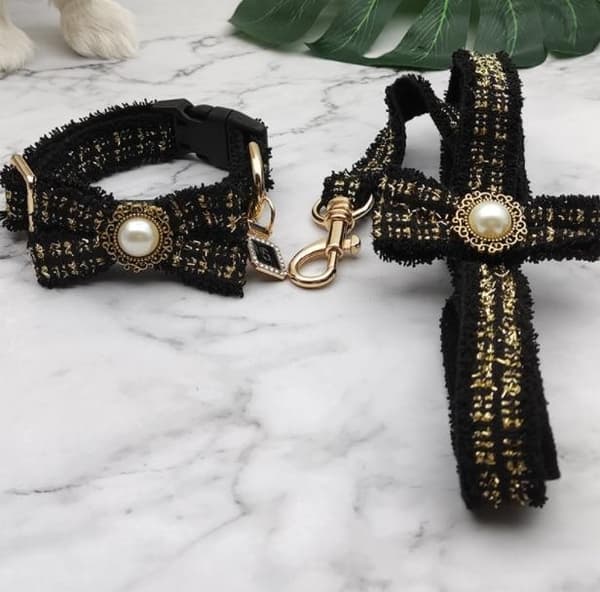 Halsband & koppel i spets och pärla lyxig sofistikerad stil