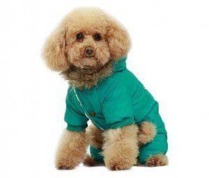Hund Vinteroverall med Päls Grön Hundkläder 2XL