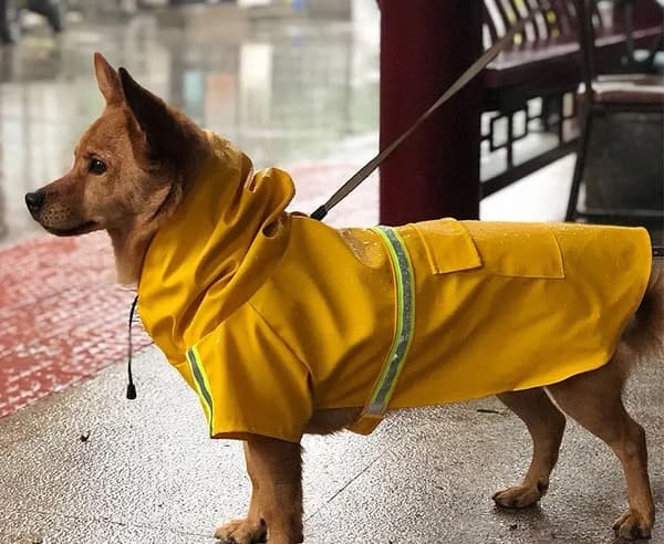 Regnjacka till liten hund rosa blå m. reflex justerbar flera storlekar