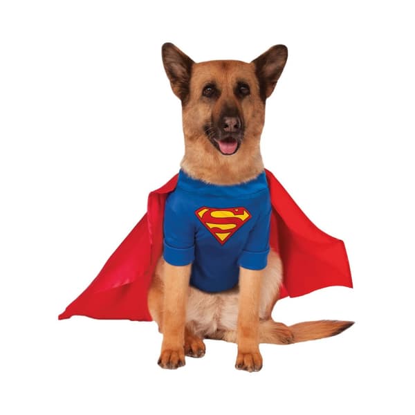 Superman Dog Costume