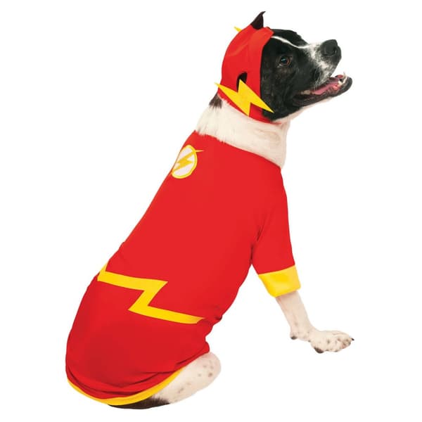 Flash Dog Costume