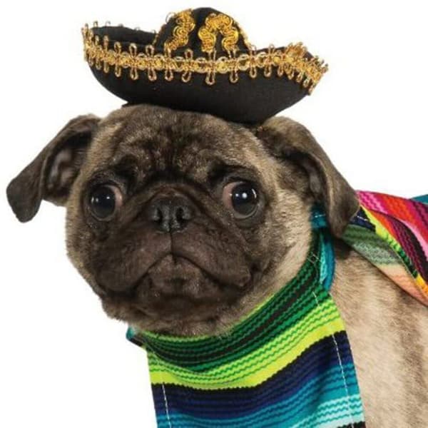 Bristol Novelty Mexican Dog Costume Set