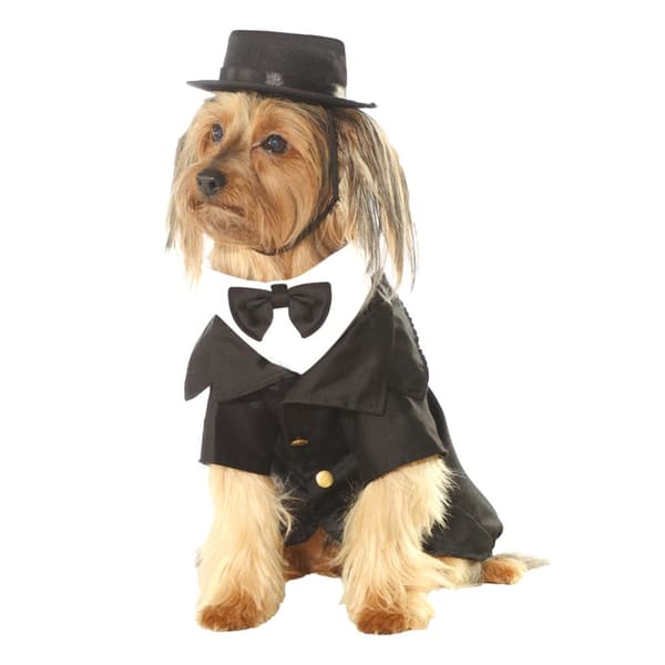 Bristol Novelty Dapper Dog Costume