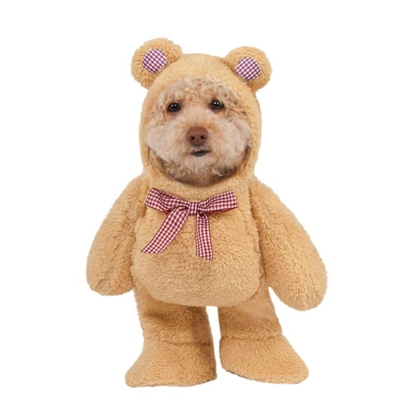 Bristol Novelty Teddy Bear Walking Dog Costume