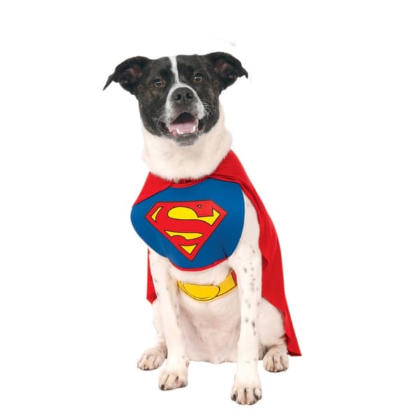 Superman Dog Costume Red/Blue/Yellow XL-61cm-71cm