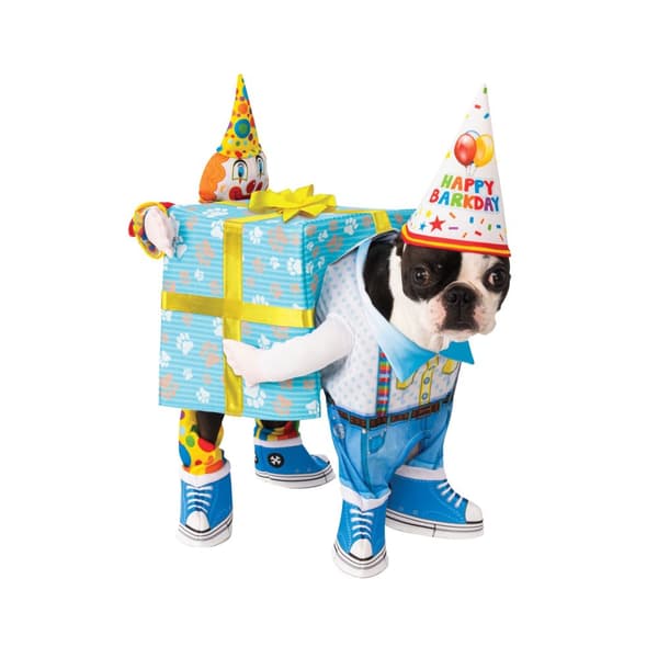 Bristol Novelty Clown födelsedag hund kostym