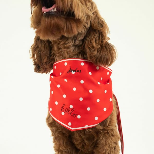 Joules Hello Polka Dot Dog Scarf