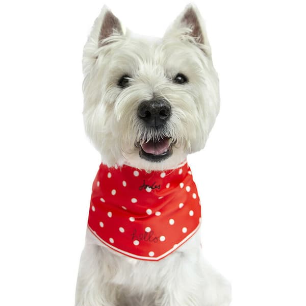 Joules Hello Polka Dot Dog Scarf