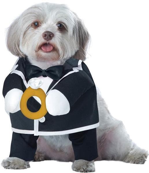 Hunddräkt Brudgum Svart Black, XSmall