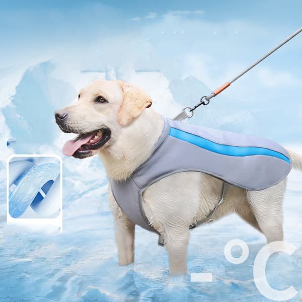 Hundekølende vestsele med reflekterende design åndbart mesh til sommer MultiColor 4XL