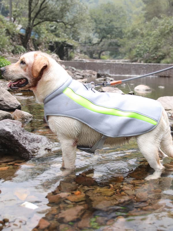 Hundekølende vestsele med reflekterende design åndbart mesh til sommer MultiColor 4XL