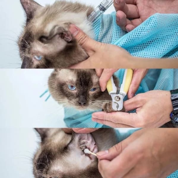 INF Multifunktionell Scratch Biting Restraint Badväska för Cat Blå