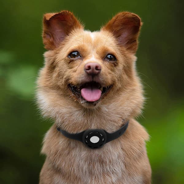 Silikone Justerbar Pet AirTag etui