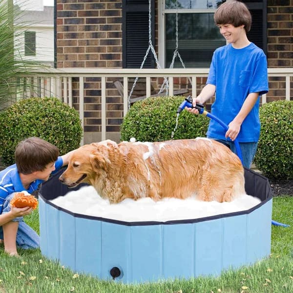 Rootz Pet Swimming Pool - Hundepool - Soppebassin - Swimming Pool - Hundebad - Sammenklappelig - PVC+ Træ - Blå