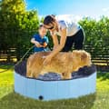 Miniatyrbillede 2 af 11: Rootz Pet Swimming Pool - Hundepool - Soppebassin - Swimming Pool - Hundebad - Sammenklappelig - PVC+ Træ - Blå