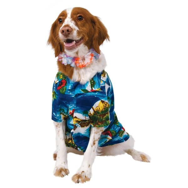 Rubies Luau/Beach Party Dog Costume Blue XL-28in-26.5in