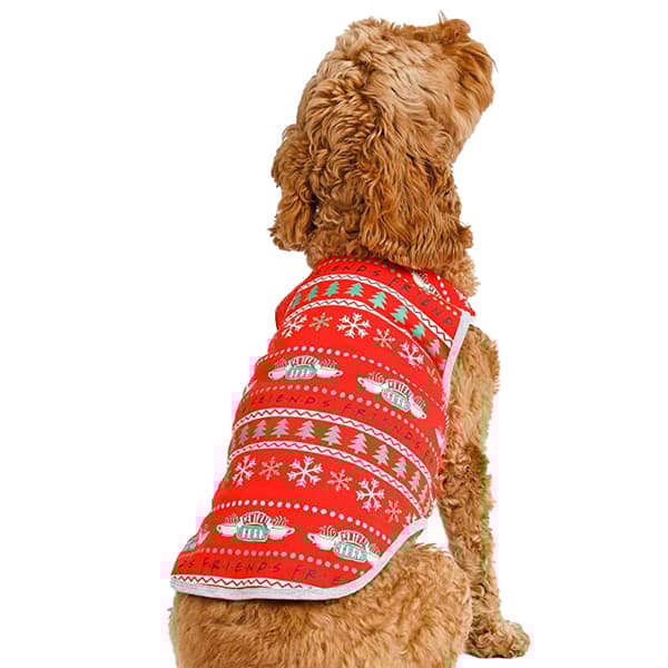 Friends Christmas Dog Top