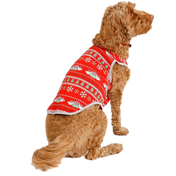 Friends Christmas Dog Top