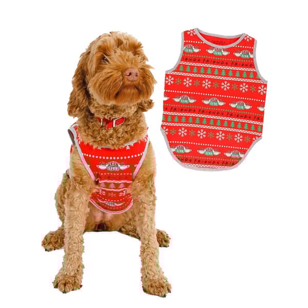Friends Christmas Dog Top