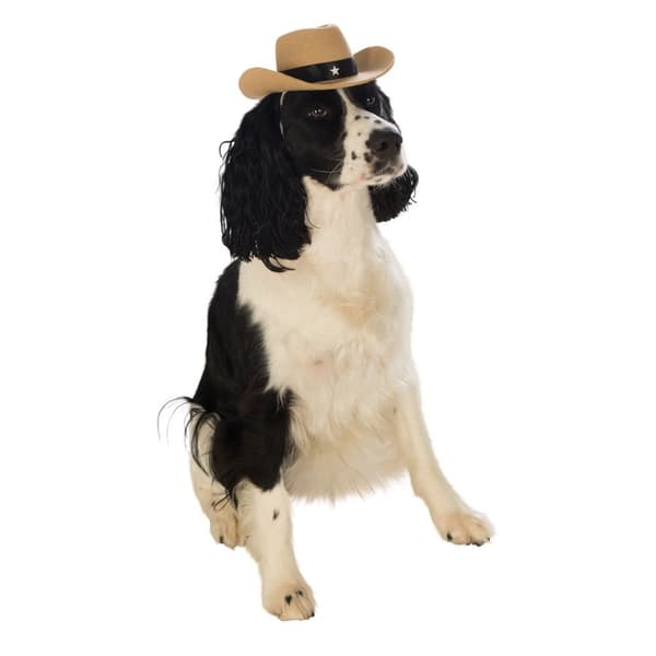 Bristol Novelty Cowboy Hat Dog Costume
