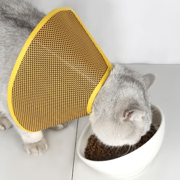 INF Stickad kattkonkrage