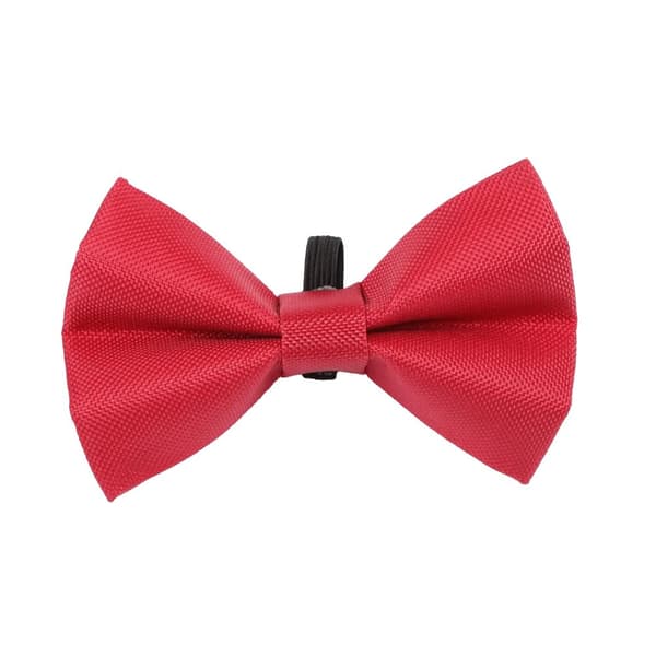 Digby & Fox Plain Dog Bow Tie Red S