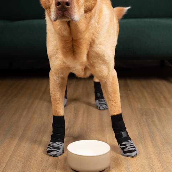 INF 4 Pack Cat Hund vandtætte skridsikre sokker