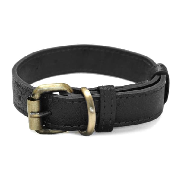 Hundhalsband i äkta läder (XS-XXL)