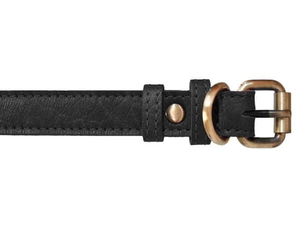 Hundhalsband i äkta läder (XS-XXL)