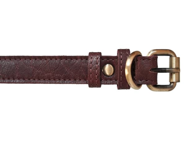 Hundhalsband i äkta läder (XS-XXL)