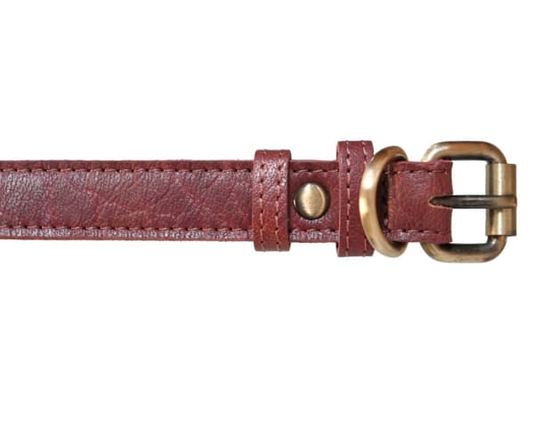 Hundhalsband i äkta läder (XS-XXL)