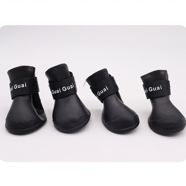 INF 4-pack husdjursskor
