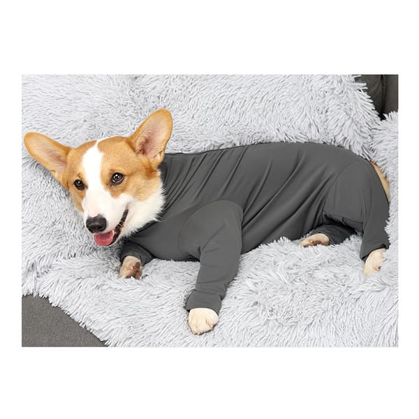 INF Hunde Jumpsuit