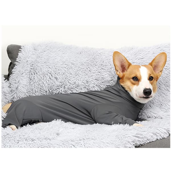 INF Hunde Jumpsuit