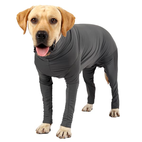 INF Hunde Jumpsuit