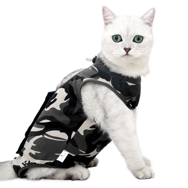 INF Camouflage Cat Recovery Suit