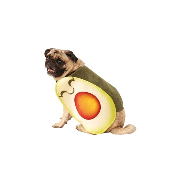 Bristol Novelty Avocado Dog Costume