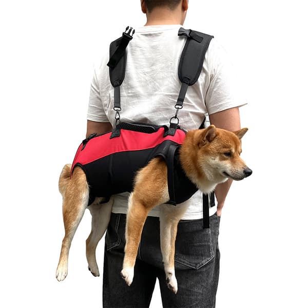 INF Pet Carrier Ryggsäck för små hundar och katter