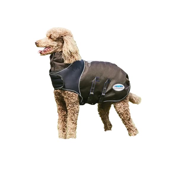 Weatherbeeta Comfitec Ultra Cozi Medium/Lite Dog Coat