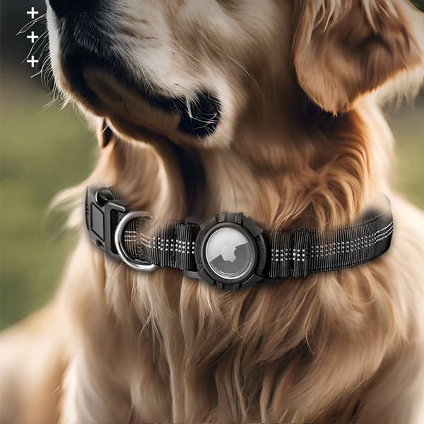 INF Reflekterende hundehalsbånd med AirTag-holder 0
