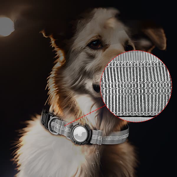 INF Reflekterende hundehalsbånd med AirTag-holder 0