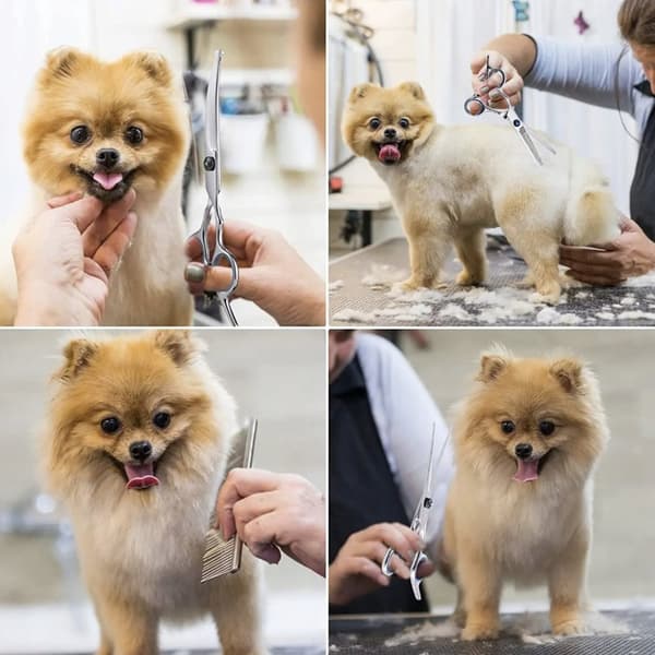 Professionell hundtrimsax för pälsvård