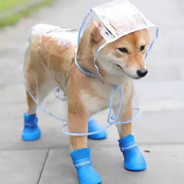 INF Pet regnfrakke til hunde og katte - blå 0