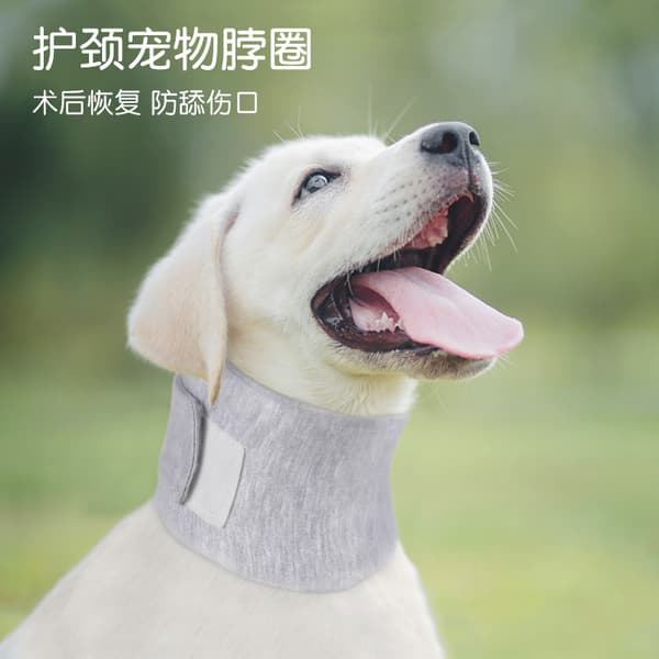 INF Justerbar Comfort Pet Neck-krage