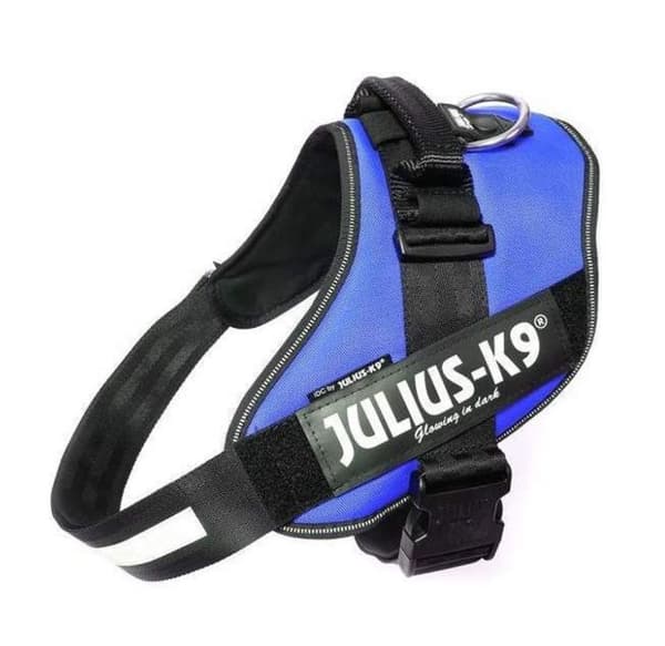 Julius-K9® IDC sele, 4/XL: 96-138 cm/50 mm, blå, hundsele.