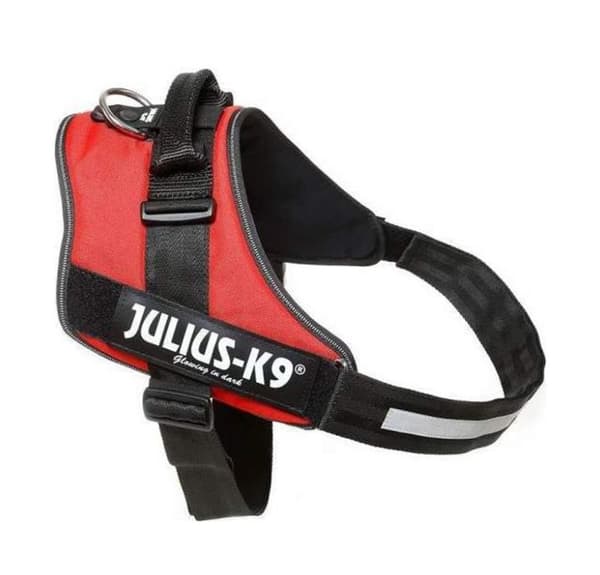 Julius-K9® IDC sele, 4/XL: 96-138 cm/50 mm, röd, hundsele.