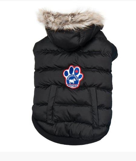 Canada Pooch North Pole Parka - Svart