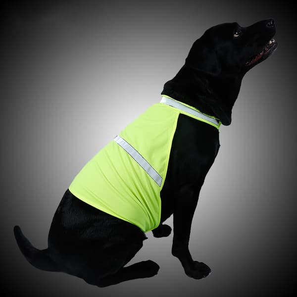 INF Reflexväst Hund - Synlighetsväst för Hundar i S