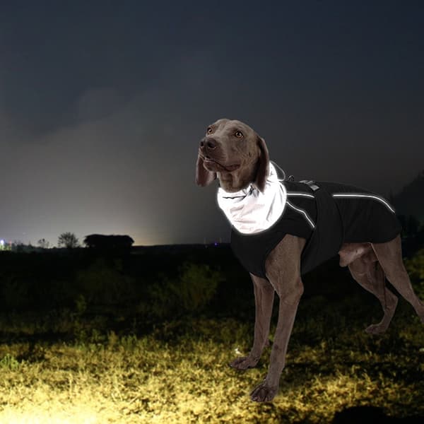INF Vandtæt Hundejakke - Varm Vinterjakke Til Hunde