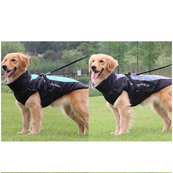 INF Klassisk grå hund vinterkappa